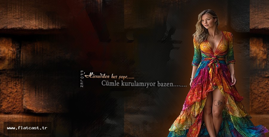 Hissedilen her seye Cümle kurulmuyor bazen...